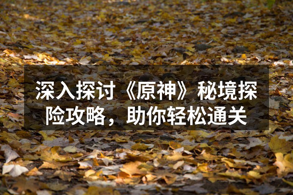 深入探讨《原神》秘境探险攻略，助你轻松通